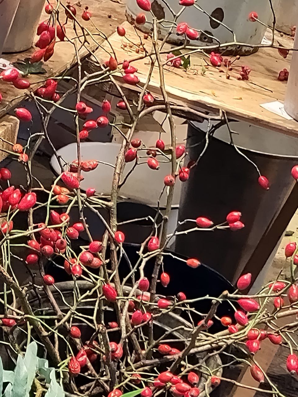 There are numerous rosehips attached to thin branches prominently visible. The background is hardly noticeable but includes what seems to be a wooden surface, potentially a table or similar, and some indistinct metallic or ceramic objects. The photographed items give an autumnal or naturalistic feel.