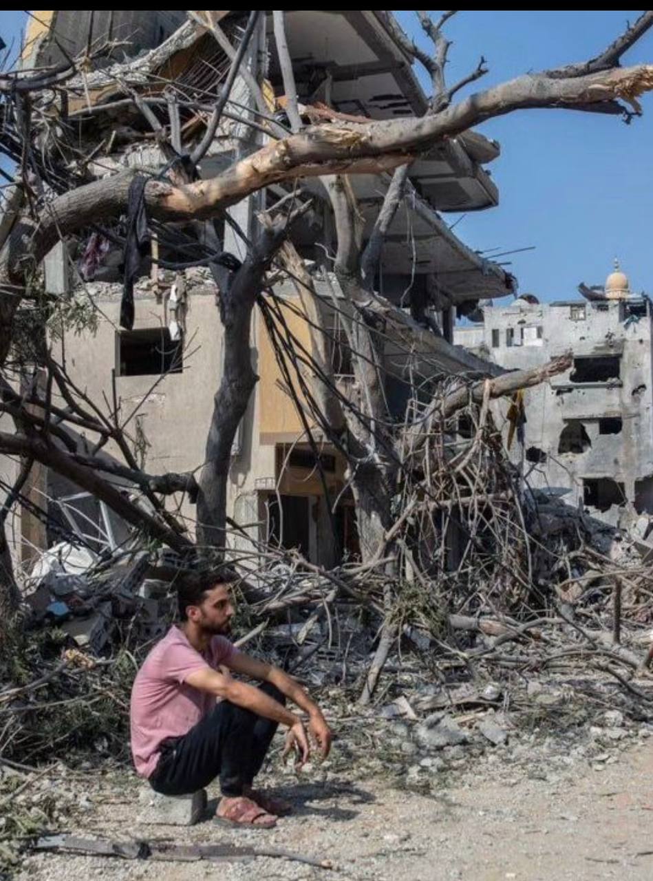 A man is crouched on the ground amid rubble and wreckage. Several damaged buildings form the backdrop, with visible destruction to their structural integrity. A barren tree stands prominently in the foreground, its branches splayed out chaotically.