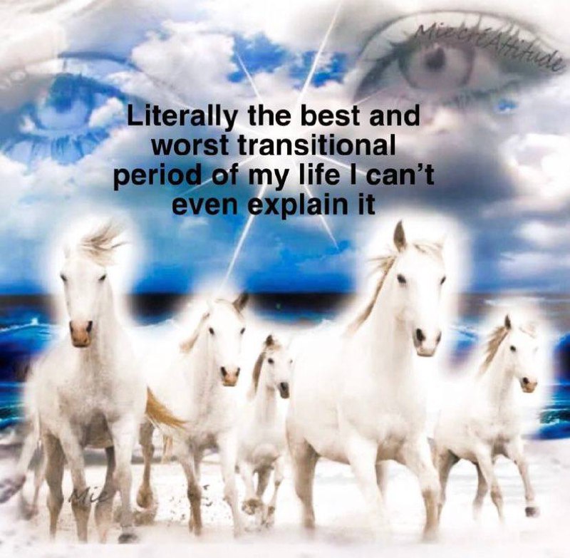 White horses galloping, large human eye with the phrase “Mindset Minditude”, clouds, blue sky, and the text overlay “Literally the best and worst transitional period of my life I can’t even explain it”.