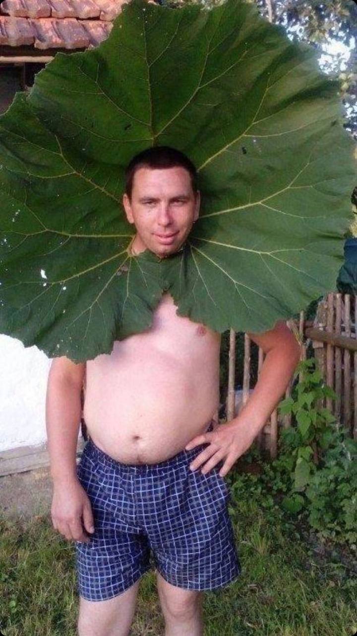 A smiling person is standing with a large leaf on their head which nearly covers the whole upper part of the body, making it look almost like a strange costume or whimsy headwear.