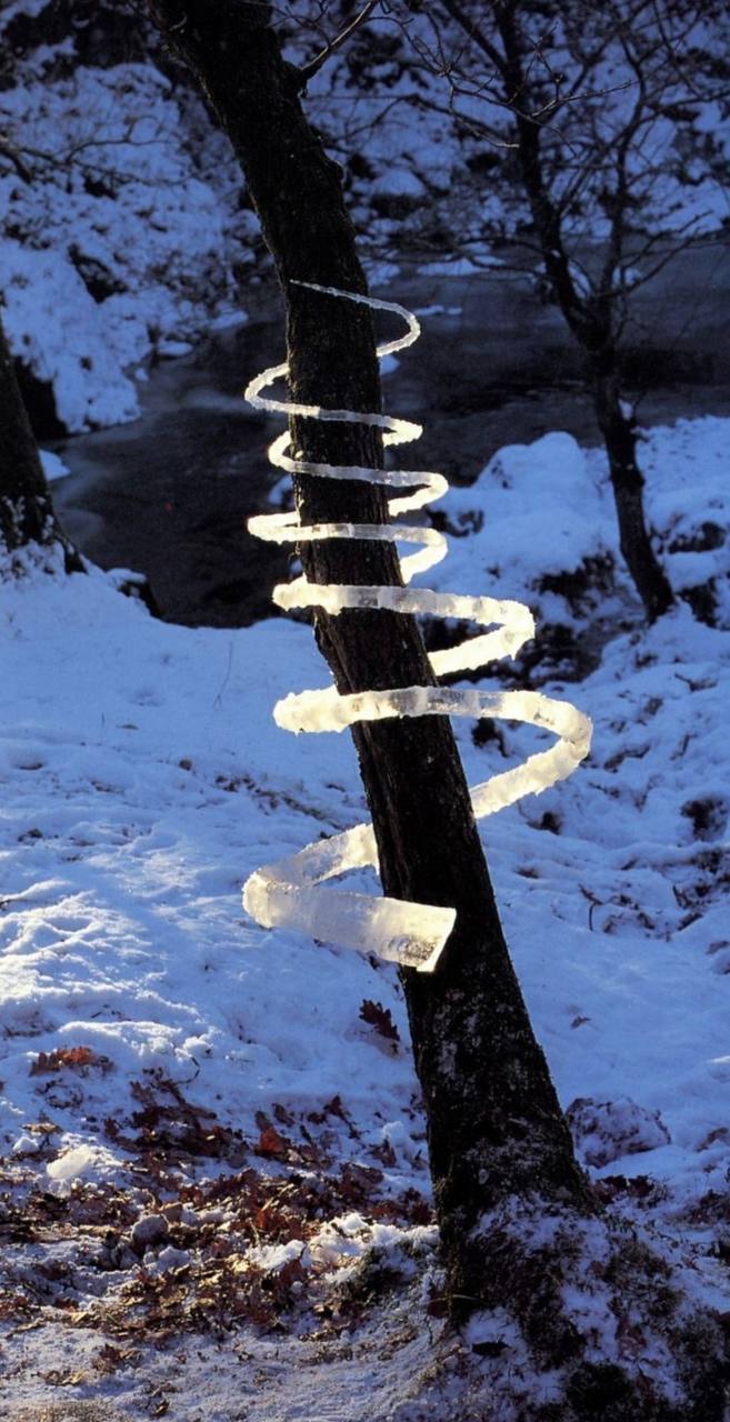 A tree with its trunk creatively wrapped in spirals of snow stands prominently against a wintery backdrop, highlighted by the bright sunlight. The frozen ground and other trees also blanketed in snow suggest a chilly, serene setting, possibly during the late afternoon hours, given the illumination angle.