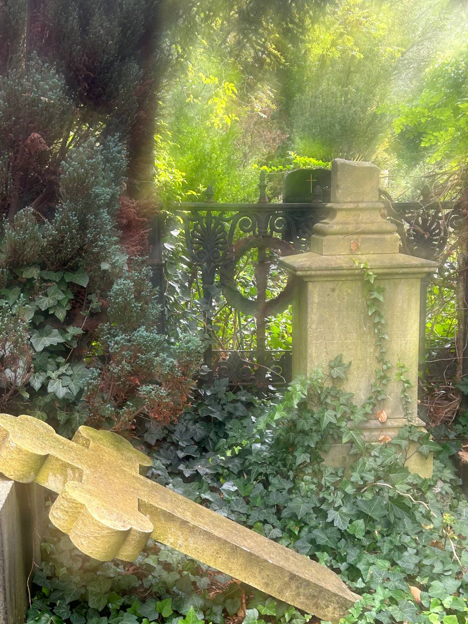 The photo captures a lush green setting with overgrown plants surrounding an ornate metal fence. The antiquated, pattern-laden fence holds remnants of past grandeur but is overtaken by climbing leaves and other flora, spotlighting nature trekking over human-made structures.